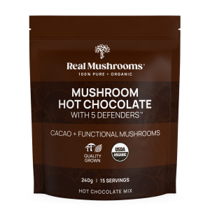 Hot Chocolate Mix 4G