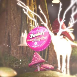 Gummies Raspberry Goji 5