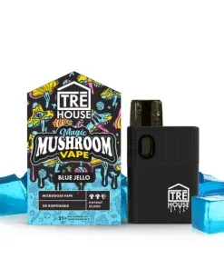2g Magic Mushroom